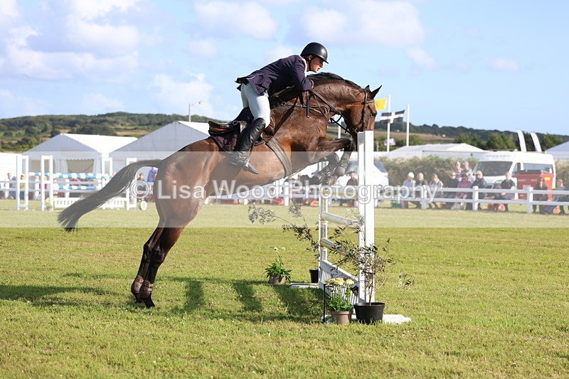 3E7A4429 - Class C: Showjumping Senior Foxhunter