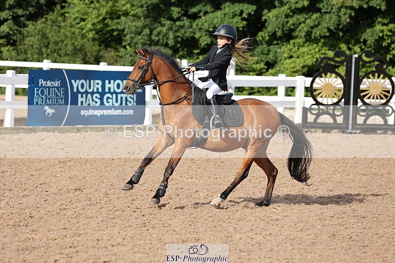 240629A-082408-02533 - Cls 16 British Novice and 80cm Open