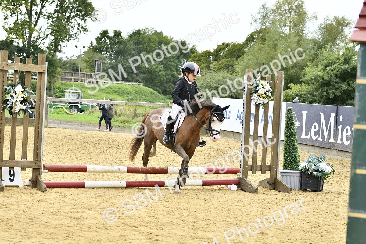 SBM_65553 - J2a mini Tour Junior Pony 30cm Championship