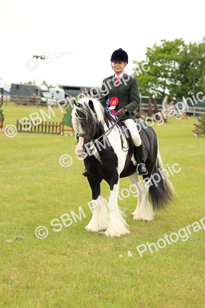 SBM_06333 - Class 39-41 TGCA In Hand and Ridden
