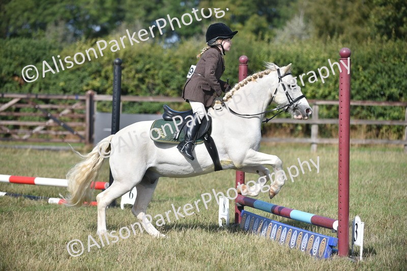 20260906-0957 - Class 7 - Absolute Novice Jumping 35cm