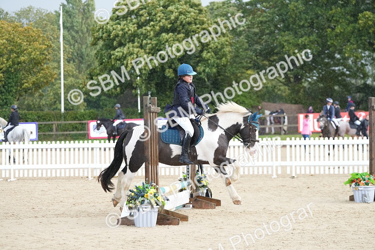 SBM_19727 - J49 - Open 50cm