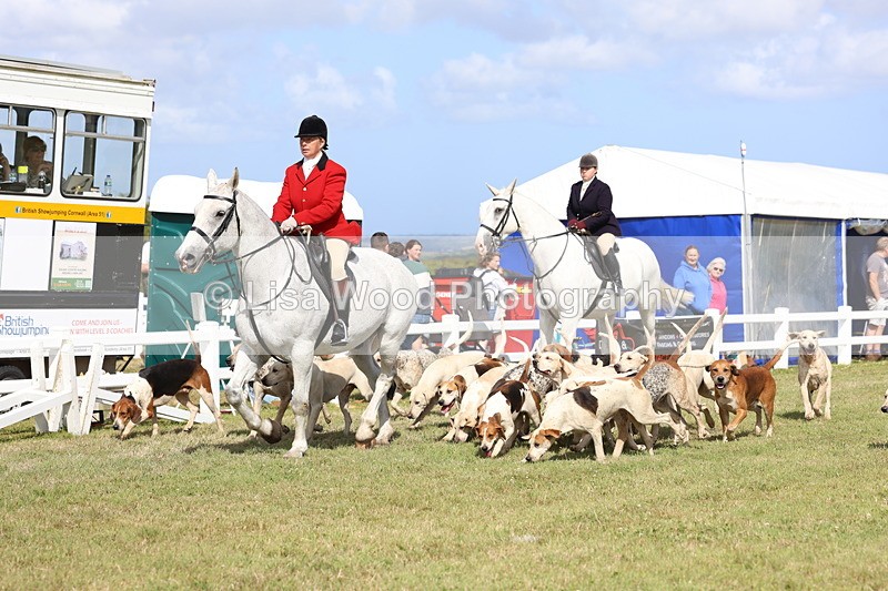 3E7A3353 - Parade of Hounds