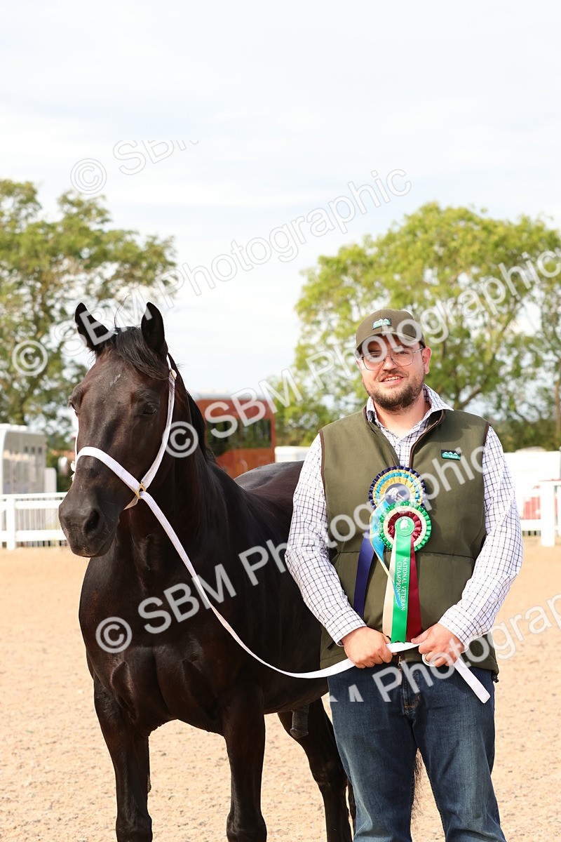 SBM_18077 - Class 707 - IH Groom - Helpers Glass