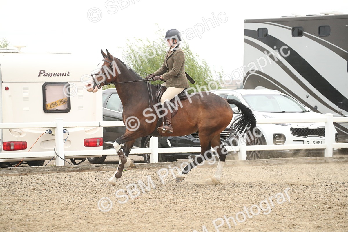 SBM_18380 - Class 509B - Working Veteran - 80cm (20+)