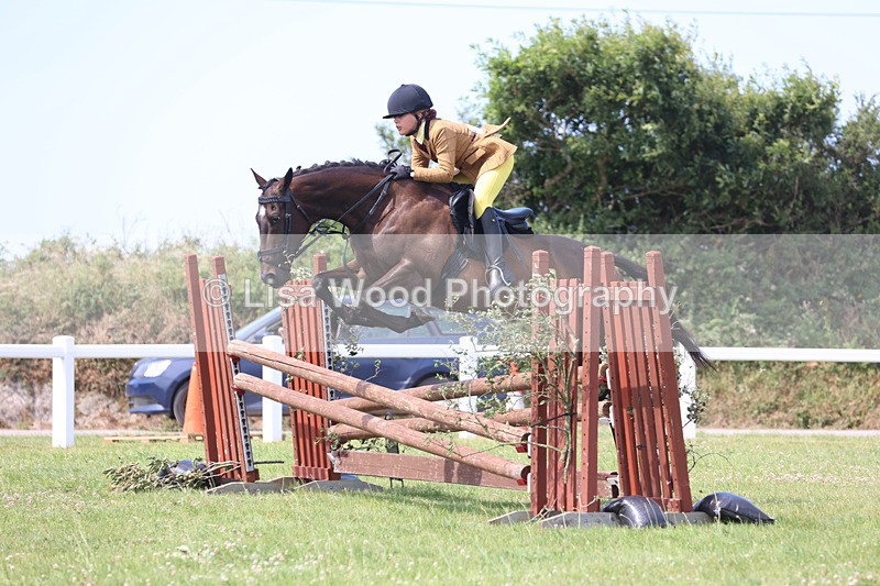 JPP_3582 - Class 23: Working Hunter 80cm