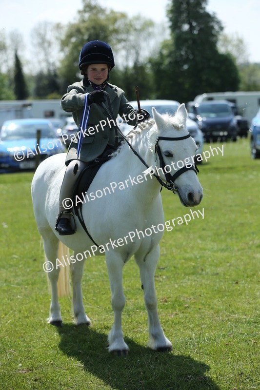 20250427-2782 - Class 6 - Pony Judge Would Most Like To Take Home