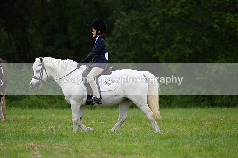 WJ7_4481 - Class 14B Prettiest Mare
