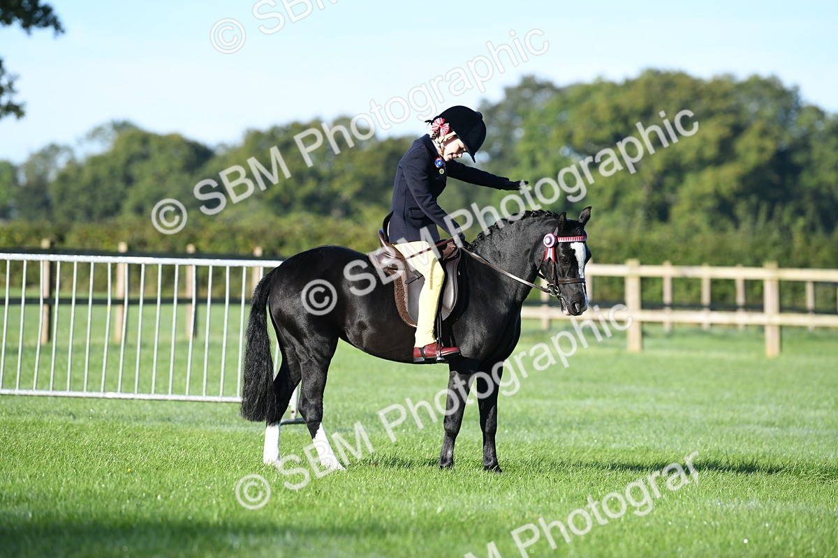 SBM_33980 - S16 - Condition & Turnout - Ridden