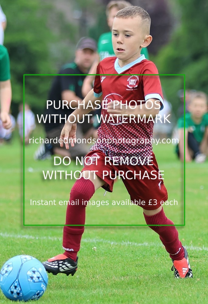 533A1734 - Westgate Wanderers Under 8's