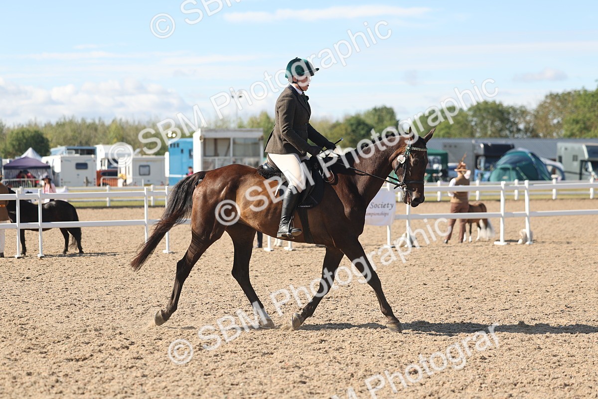 SBM_13051 - Class 305 - Ridden Foreign Breed Pure Bred