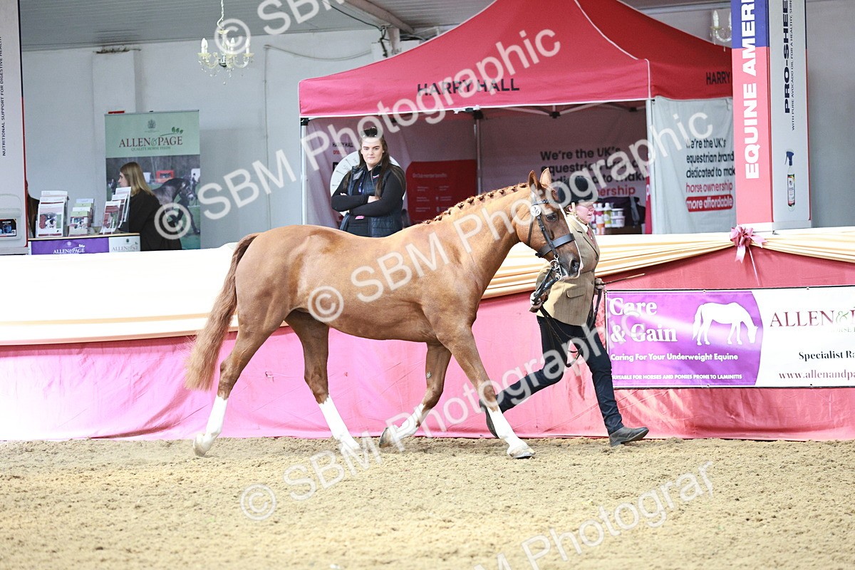 SBM_04742 - Class 7R - Regional IH Diamond