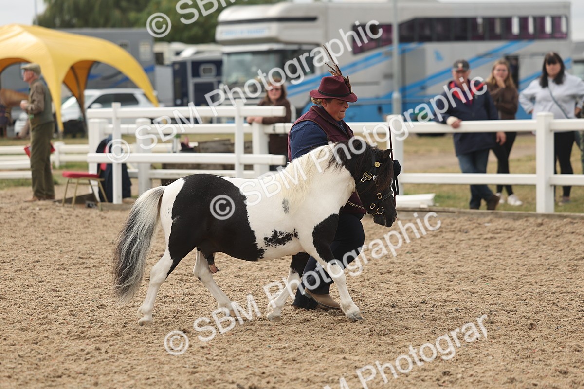 SBM_03226 - Class 16 - IH M&M Wildcard