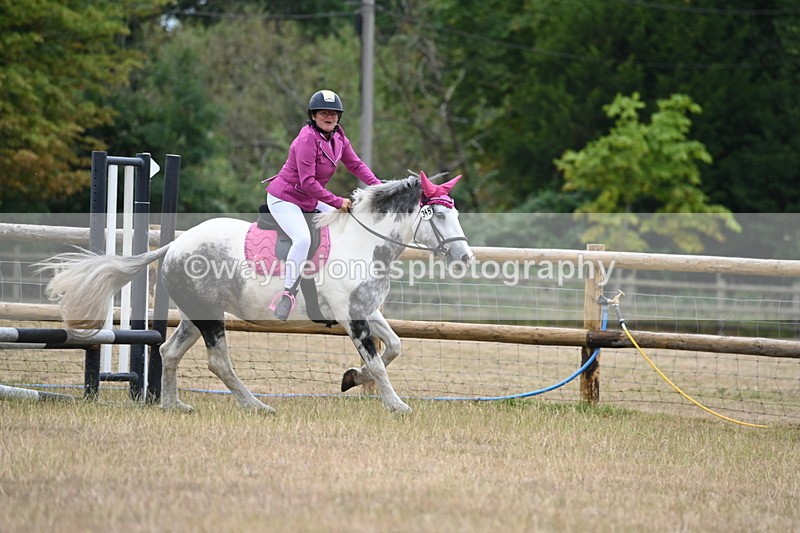 WJ6_0339 - Class 13 Novice Jumping 60cm