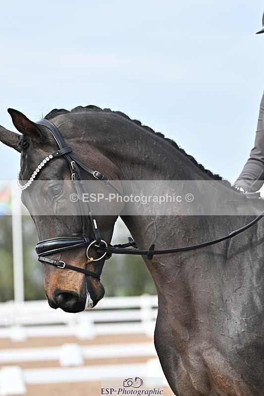 250404-104738-05349 - 103-Oriana.McNamara-Lafite