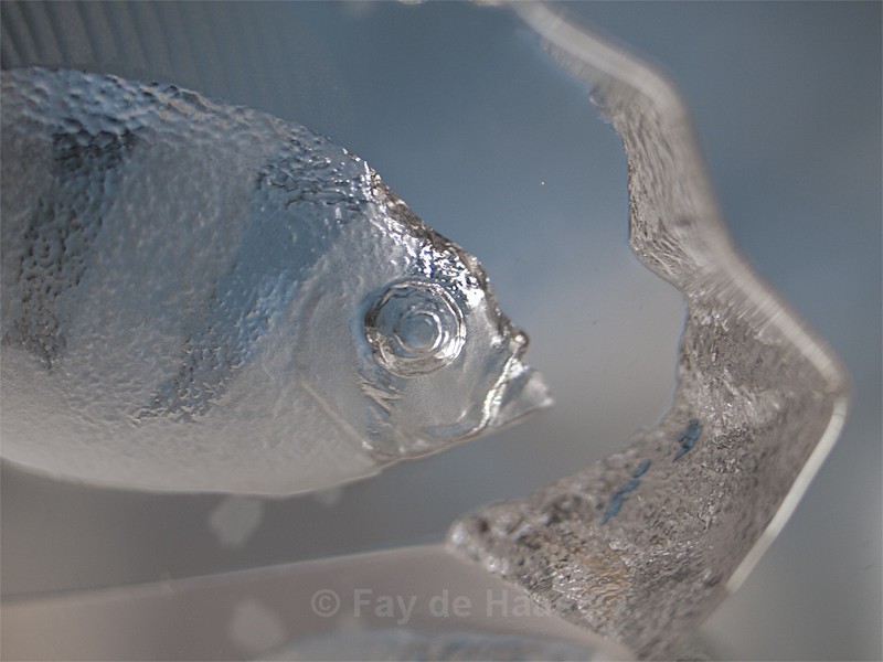  - Water gazing