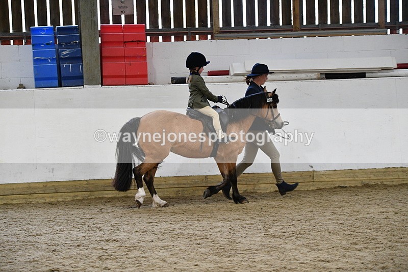 WJ5_6561 - Class 10 Childs Pony
