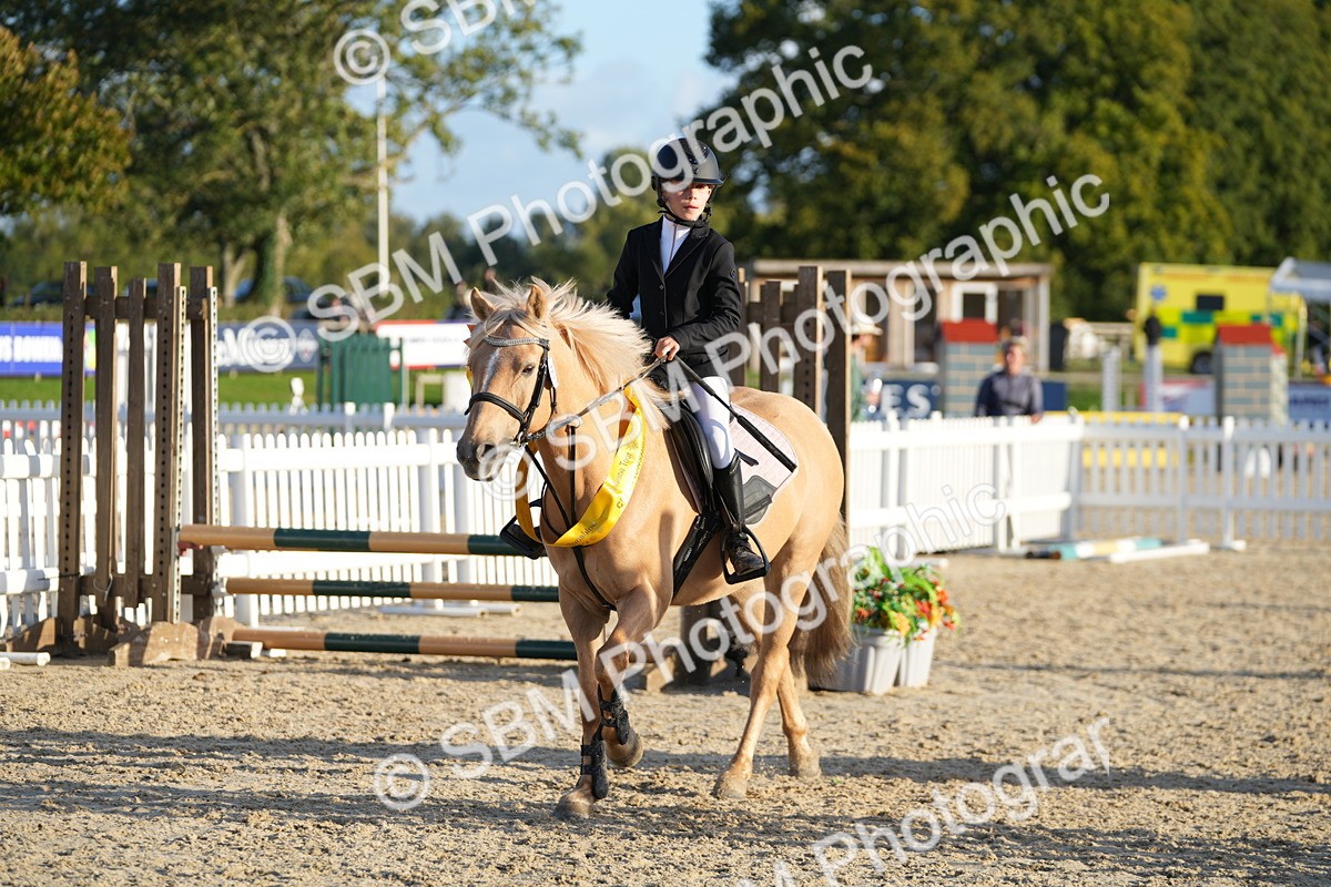 SBM_54078 - J8 - Junior Pony 65cm Championship