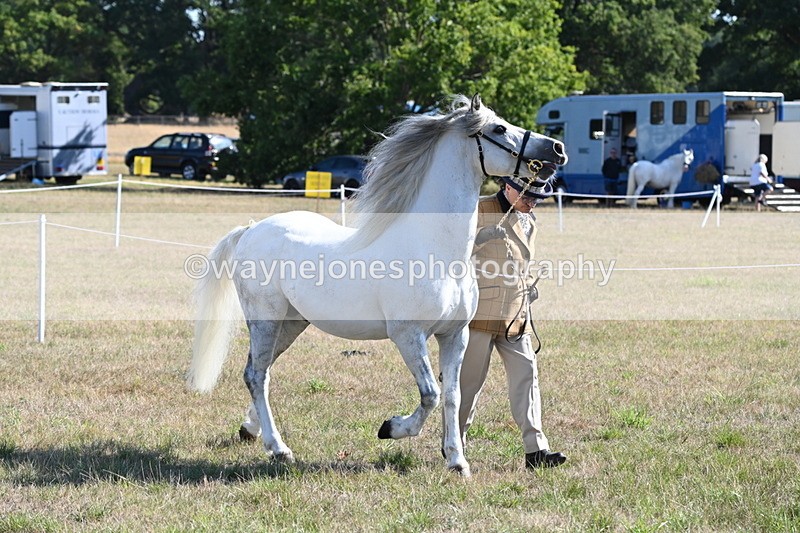 WJ6_4218 - Class 16 Condition & Turn Out
