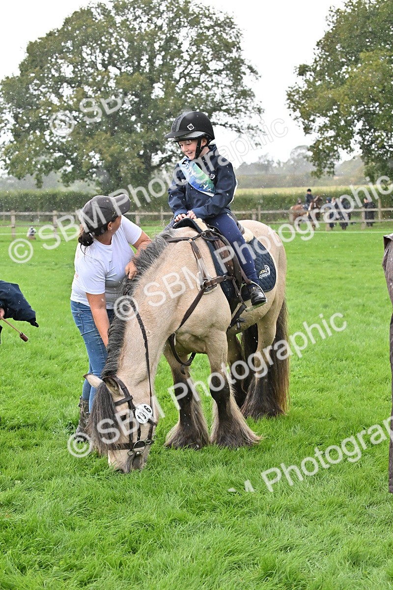 SBM_43011 - S12 - Family Horse & Pony