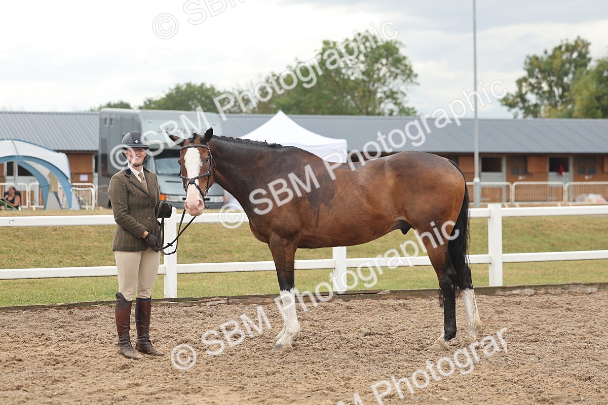 SBM_07811 - Class 27 - IH Competition Horse/Pony