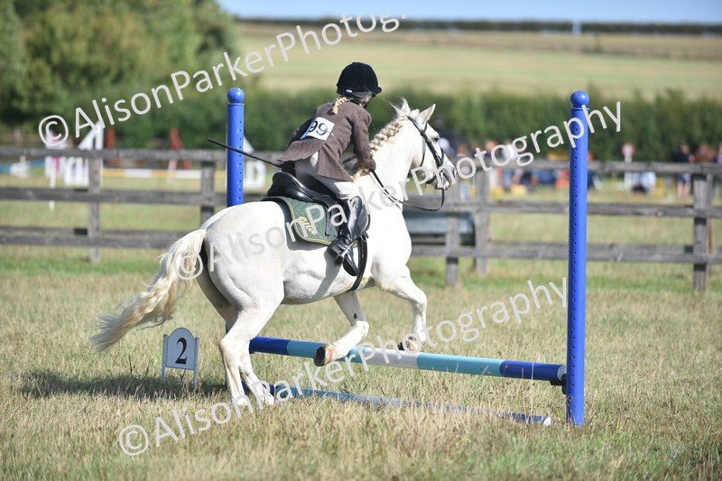 20260906-0955 - Class 7 - Absolute Novice Jumping 35cm