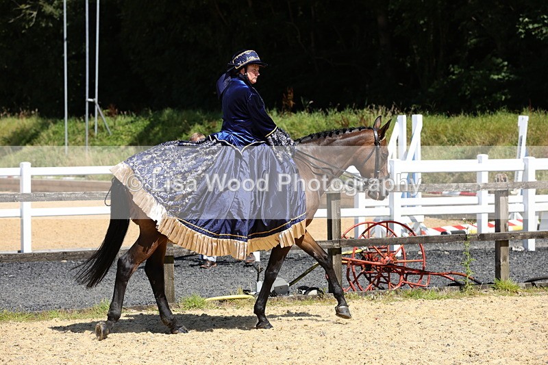 1X9A8988 - Class 24: Ridden Concours D'Elegance