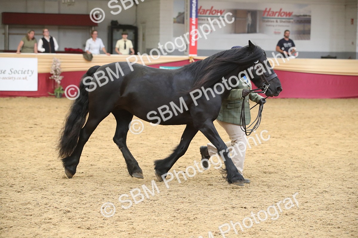SBM_05658 - Class 9R - Regional IH Pre-Vet