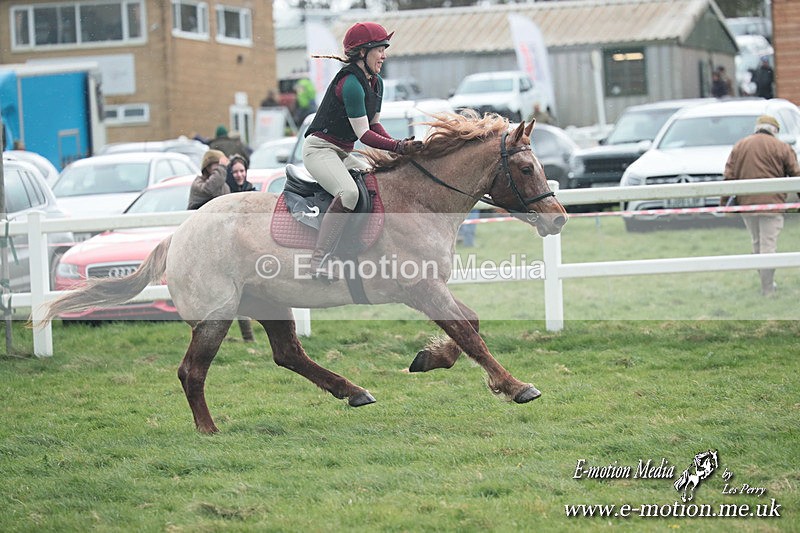 PtP 230324 178 - Tedworth Hunt PtP Larkhill Raccourse 23rd March 2024