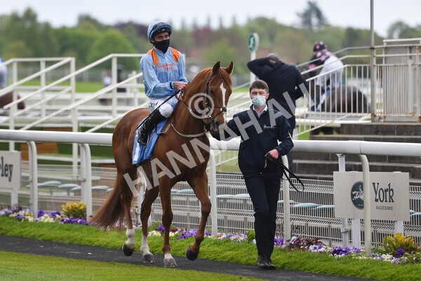 yr14052021r5-15 - Race 5 3.40pm The Jigsaw Sports Branding Handicap