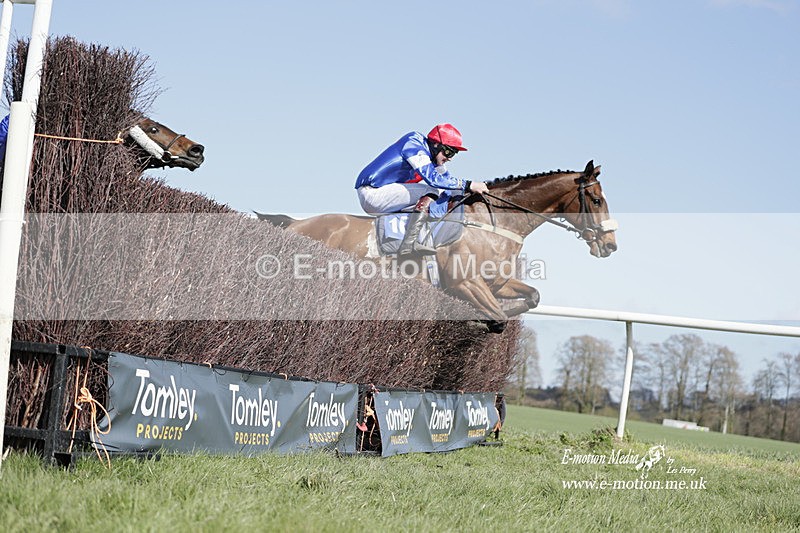 PtP 100423 784 - Old Berkshire Point-to-Point Lockinge 10/04/23
