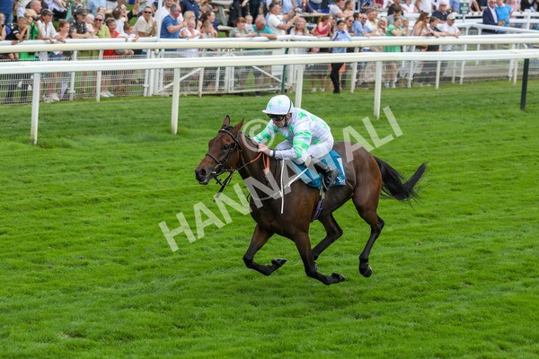 100923-Race 3-Yorkindness-3862 - Race 3 2.45pm Fine Details Vehicle Valeting Handicap