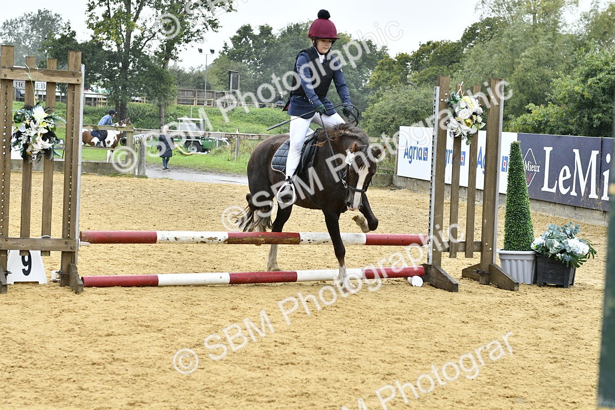 SBM_70868 - J3 - Mini Tour Junior Pony 40cm championship