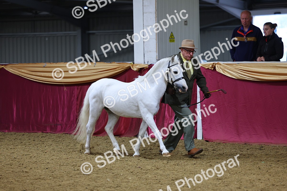 SBM_19378 - Class 901 - Supreme Final - IH Diamond