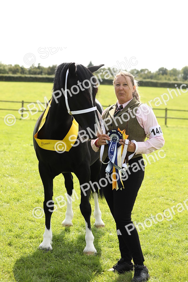 SBM_66352 - In Hand Pony & Youngstock Supreme Championship