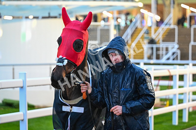 141125-Race 6-Aeroplane Blonde-1243 - Race 6