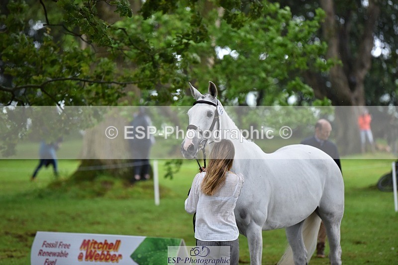 240522-161200-00774 - 160-WESTWOOD_II-Tara_Kay