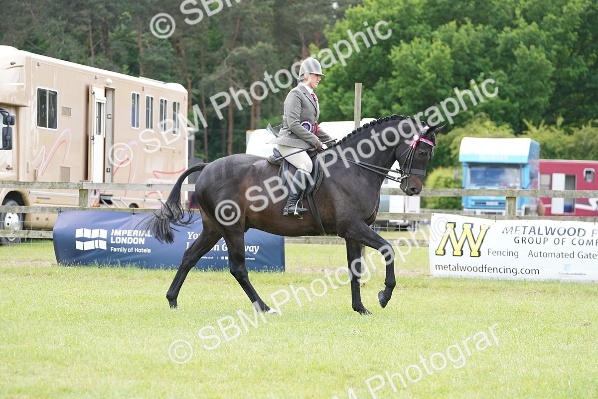 SBM_16229 - Class 105-106 - RIHS Riding Horses