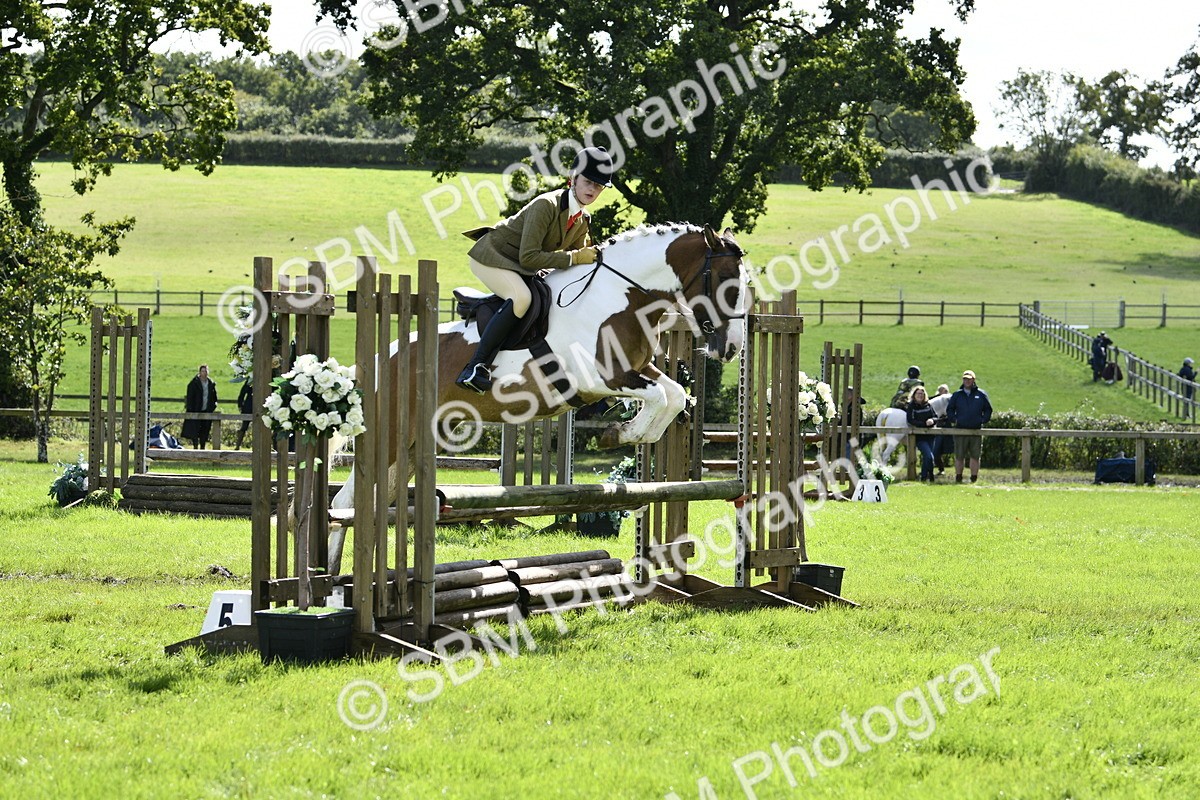 SBM_45687 - S33 - Working Hunter Pony