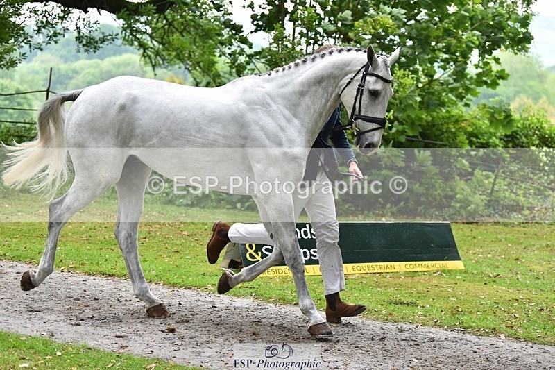 240522-165810-01291 - 230-MISTY_LIBERTY_LANE-Jesse_Campbell