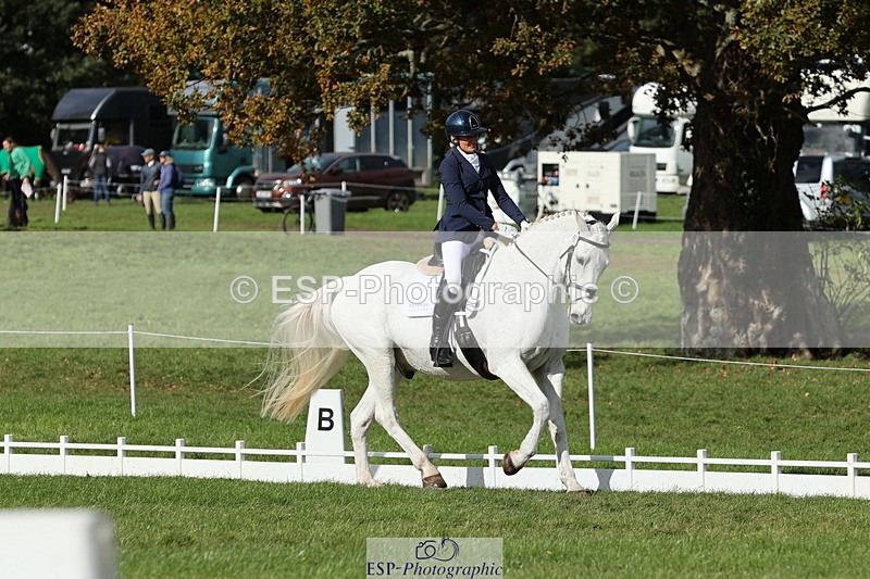 251024A-133246-12601 - H-651-Victoria.Tar