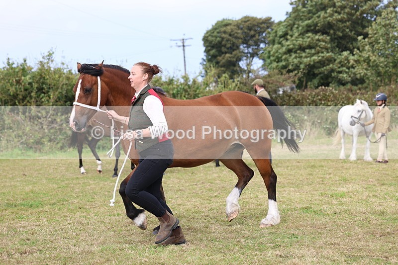 3E7A4727 - Class 16: Best Grass Kept