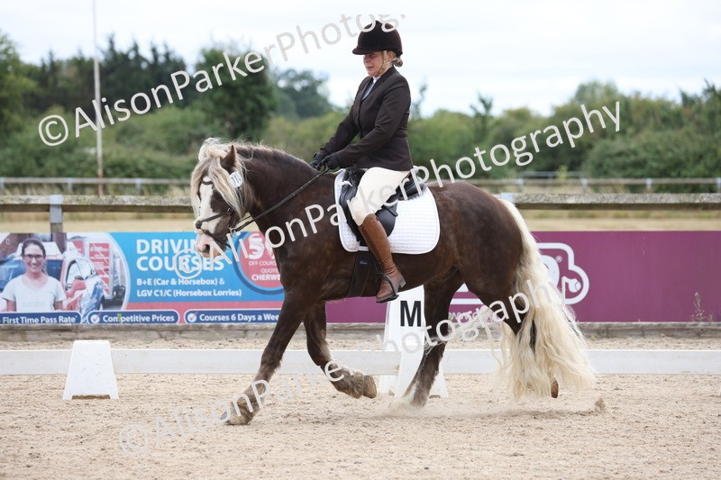 20250706-0202 - Class 14 - Prelim 6