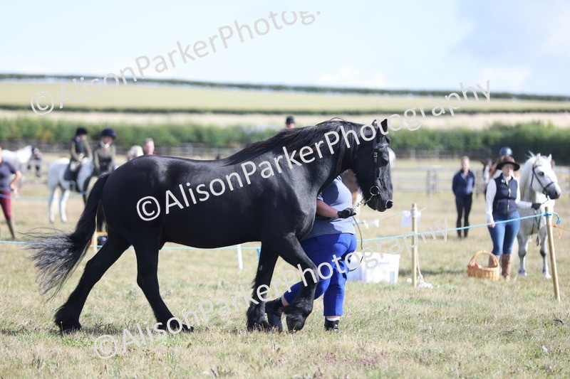 20250831-1514 - Class 21 - Inhand Open