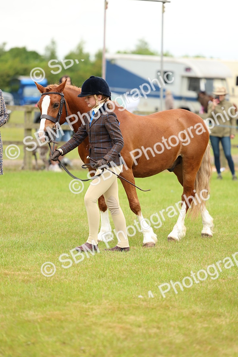 SBM_10367 - Class 44-45 - LIHS BSPS Open Nursery and Cradle Stakes