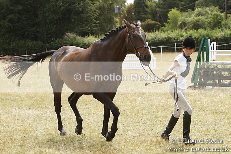 _BS_0970 - BVRC Show 2018 Ring 3