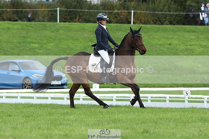 251023A-115245-03440 - E-384-Holly.Horton