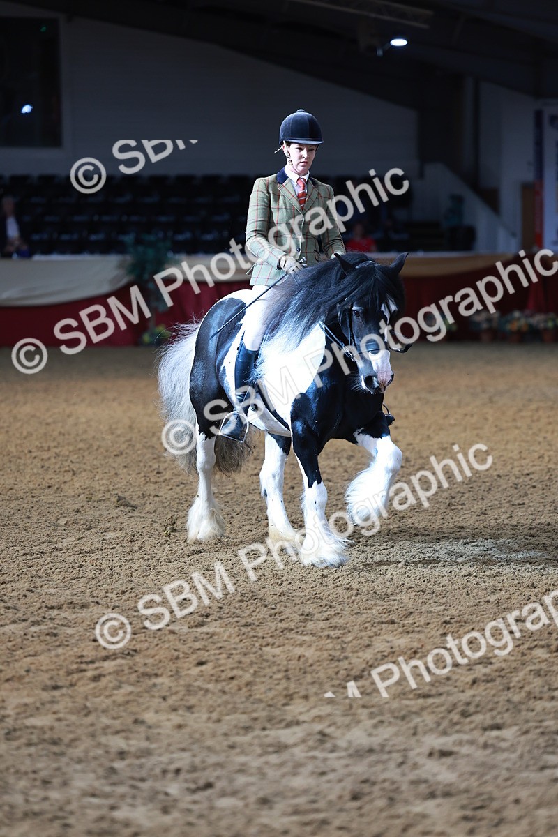 SBM_11894 - Class 102 - Equitation (Best Rider) Adult