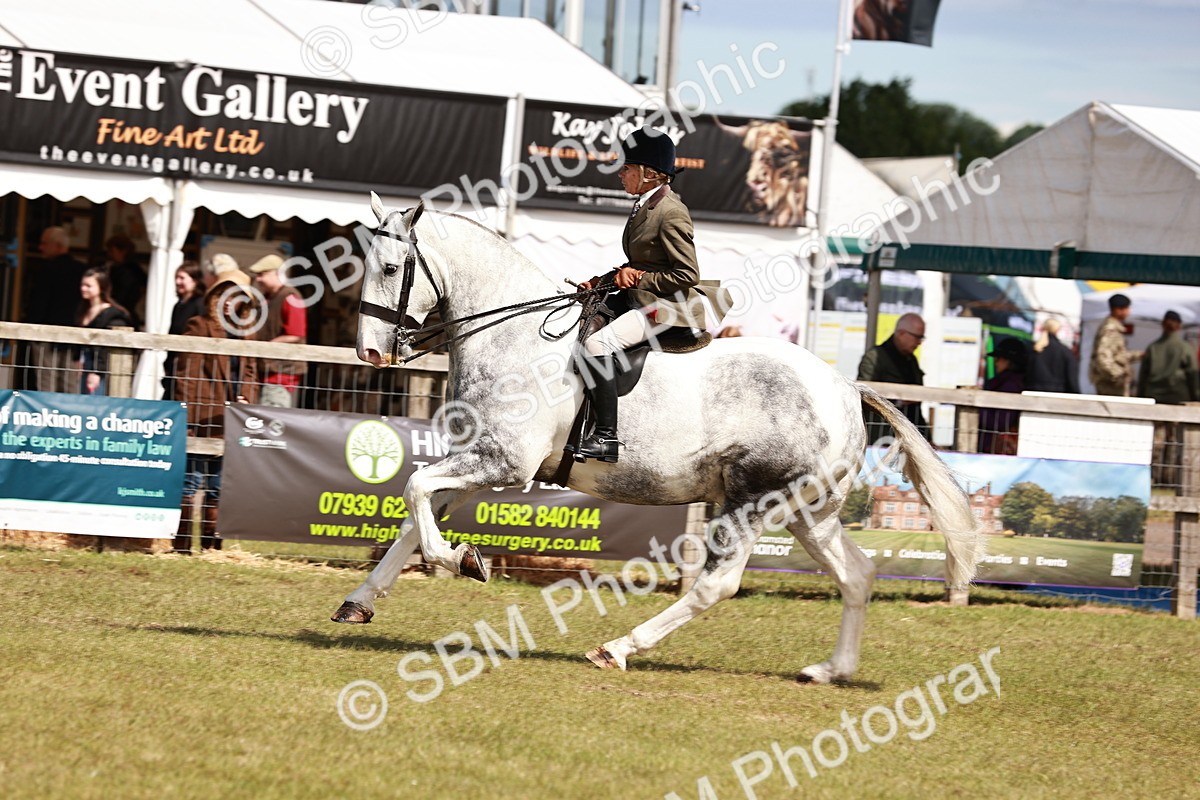 SBM_14040 - Class 85-87 - RIHS Cobs