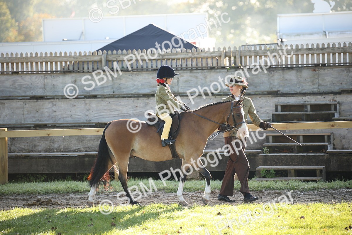 SBM_34147 - S9 - Lead Rein Equitation